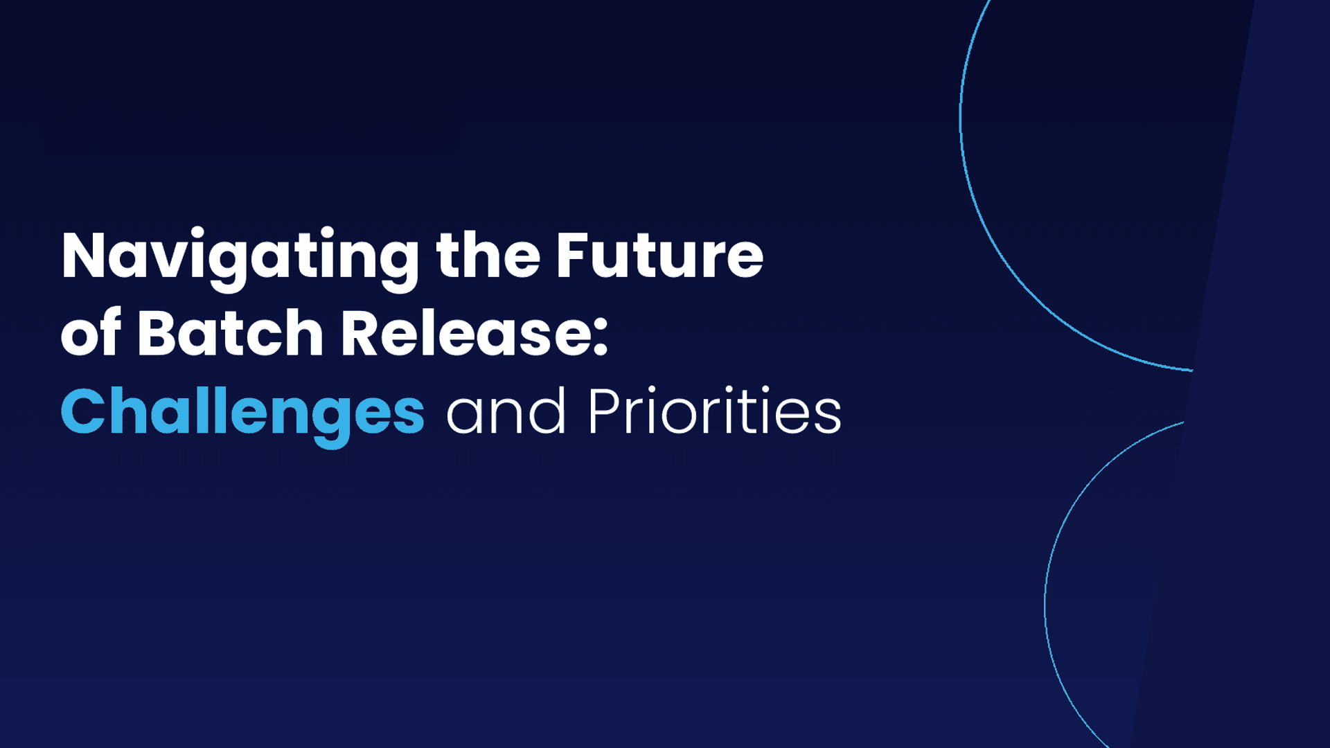 Navigating the Future of Batch Release: Challenges and Priorities