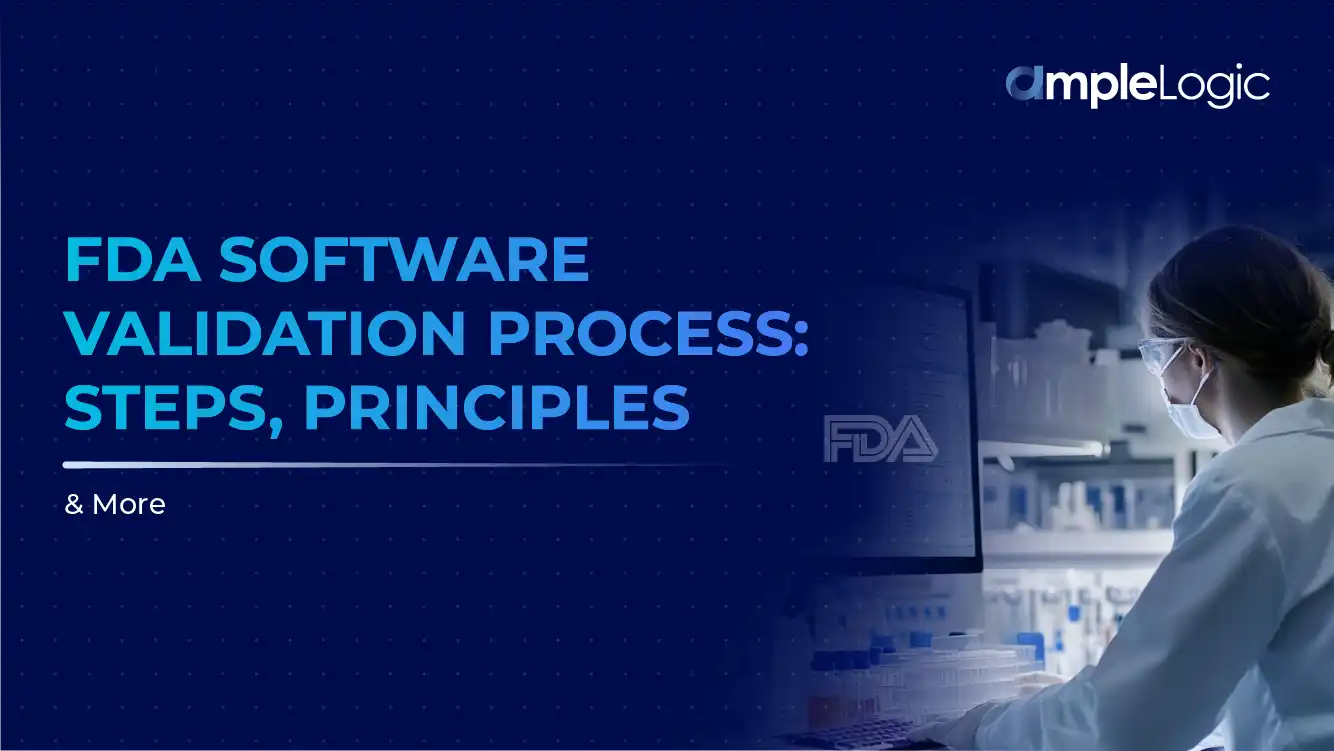 fda-software-validation-process
